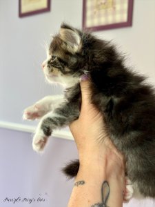 1 mois