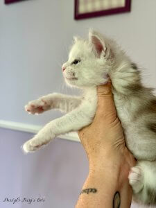 1 mois