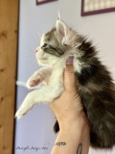 1 mois