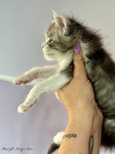 1 mois